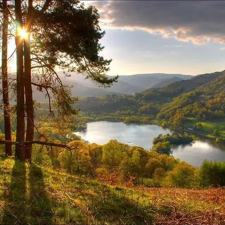 Badger Bar Couette-café