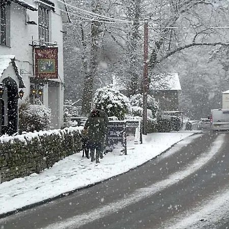 Badger Bar 3*
