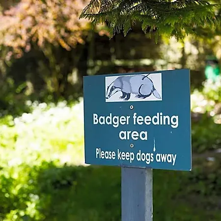 Badger Bar Ambleside