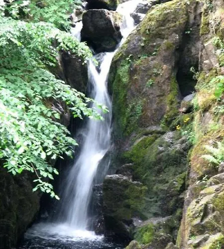 Badger Bar Bed & Breakfast Ambleside