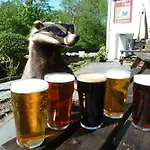 Badger Bar